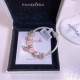 Pandora Bracelet