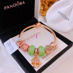 Pandora Bracelet