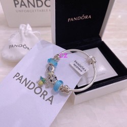 Pandora Bracelet