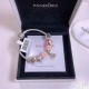 Pandora Bracelet