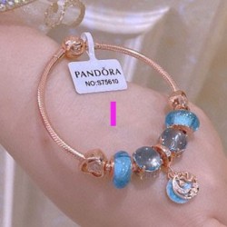 Pandora Bracelet