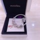 Pandora Bracelet