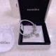 Pandora Bracelet