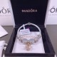 Pandora Bracelet