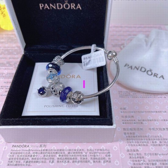 Pandora Bracelet