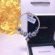 Pandora Bracelet