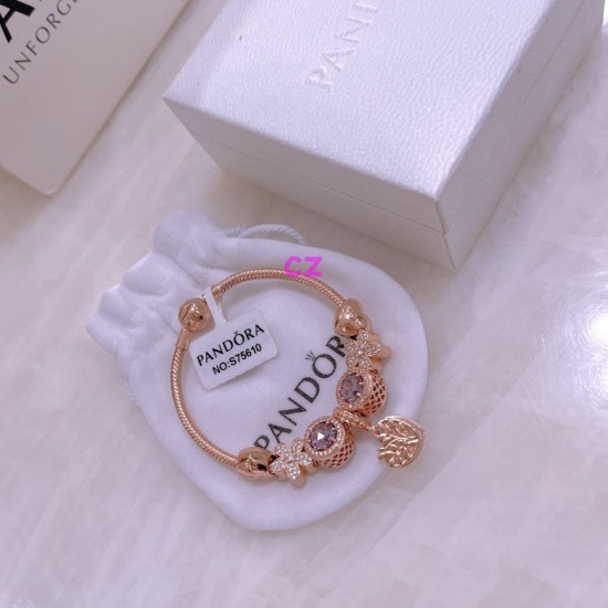 Pandora Bracelet