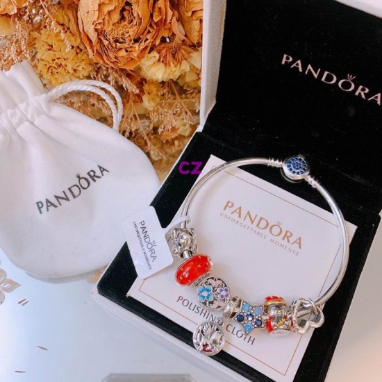 Pandora Bracelet