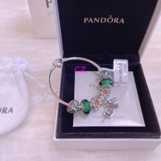 Pandora Bracelet