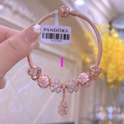 Pandora Bracelet