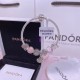 Pandora Bracelet