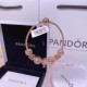 Pandora Bracelet