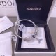 Pandora Bracelet