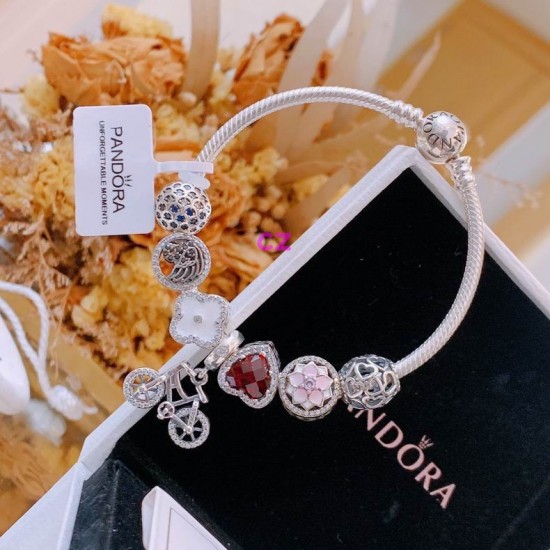 Pandora Bracelet