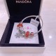 Pandora Bracelet