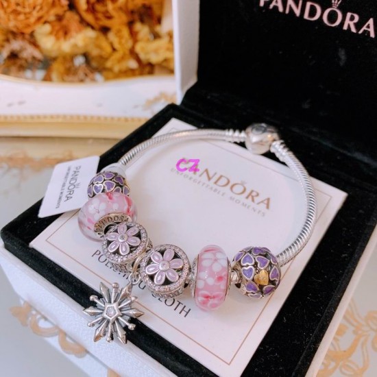 Pandora Bracelet