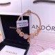 Pandora Bracelet