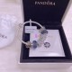 Pandora Bracelet