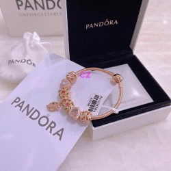 Pandora Bracelet