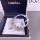 Pandora Bracelet