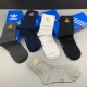 yoyo-Socks -BB00420Q139 5pieces per box