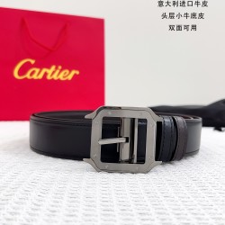 Cartier 005