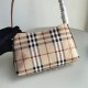 Burberry D886300