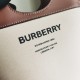 Burberry D886500