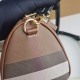 Burberry D886420