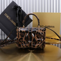 Dolce &amp;amp; Gabban bag Size：13.5*17.5*6.5cm