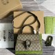 GUCCI  739496