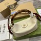 GUCCI 746251