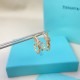 Tiffany Jewelry High Quality