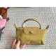 longchamp Bags Top Quality size：17*10cm