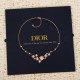Dior Jewelry Necklace