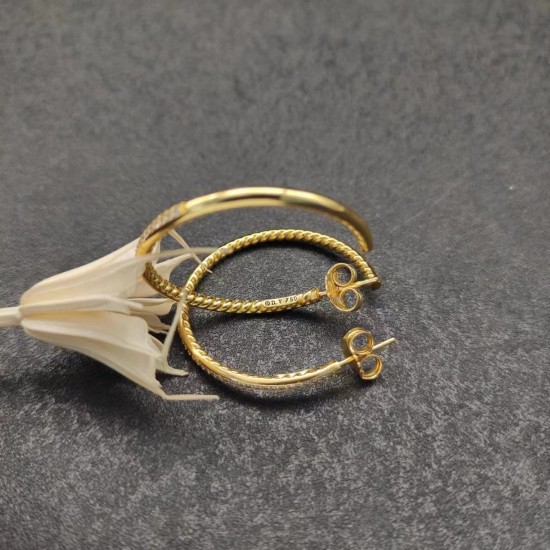 David Jewelry Earrings