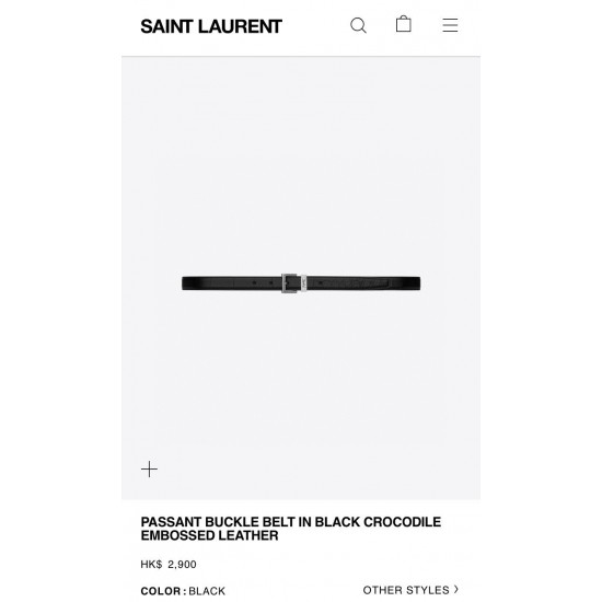 YSL Belts
 Top Quality