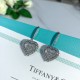 Tiffany Jewelry Earrings