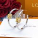 LV Jewelry Earrings