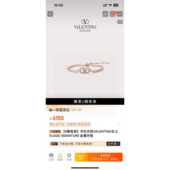 Valentino Jewelry Necklace