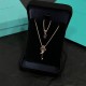 Tiffany Jewelry Necklace