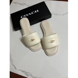 Coach Shoes Top Quality