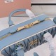 MiuMiu Bags Top Quality 22X10.5X7.5CM