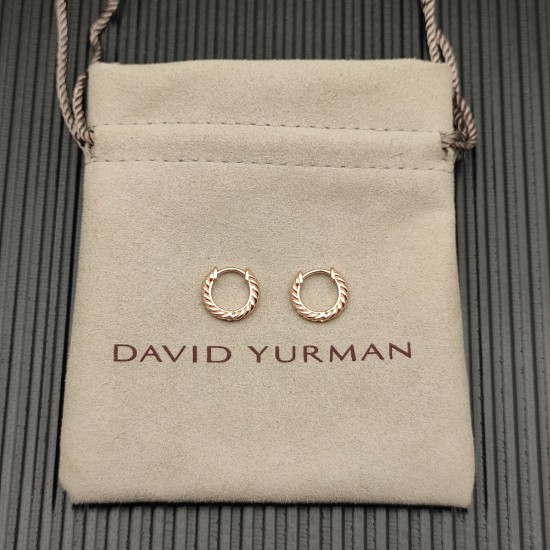 David Jewelry Earrings