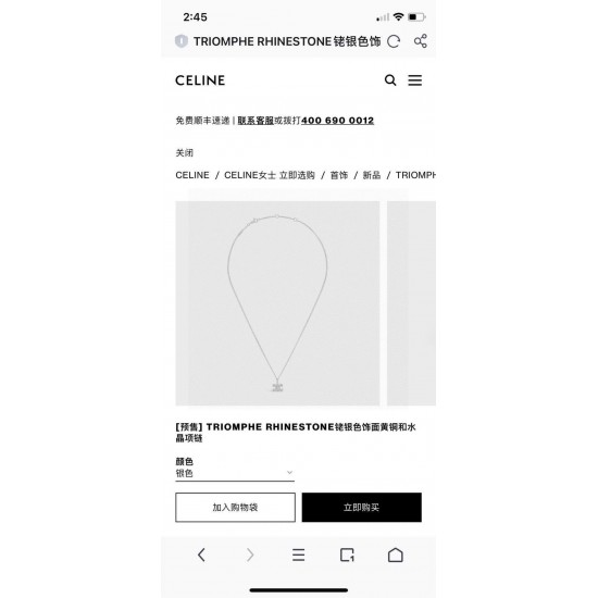 Celine Jewelry Earrings