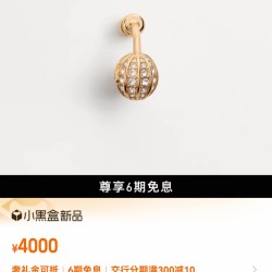 Valentino Jewelry Earrings