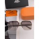 Hermes Glasses