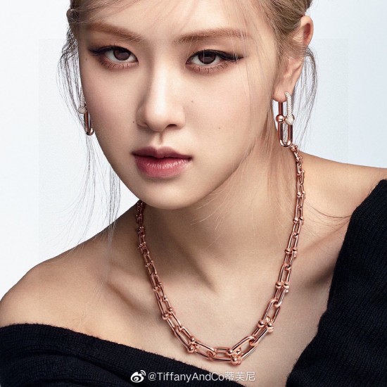 Tiffany Jewelry Earrings