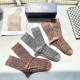 Dior Socks