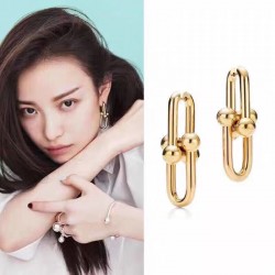 Tiffany Jewelry Earrings